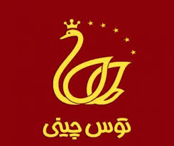 لوگو 4